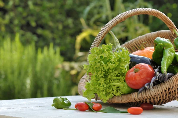 Cesta de legumes jardim — Fotografia de Stock