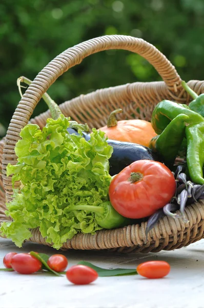 Cesta de verduras de jardín —  Fotos de Stock