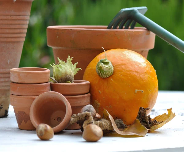 Raccolta di nocciola e zucca — Foto Stock