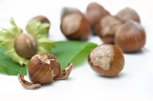 Hazelnut dehulled — Stok Foto