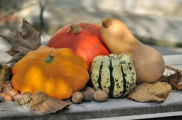 Calabazas — Foto de Stock