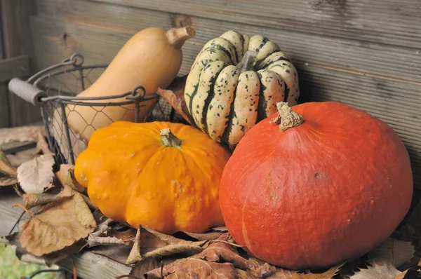Höstens grönsaker — Stockfoto