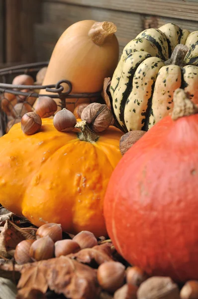 秋季水果和蔬菜 — 图库照片