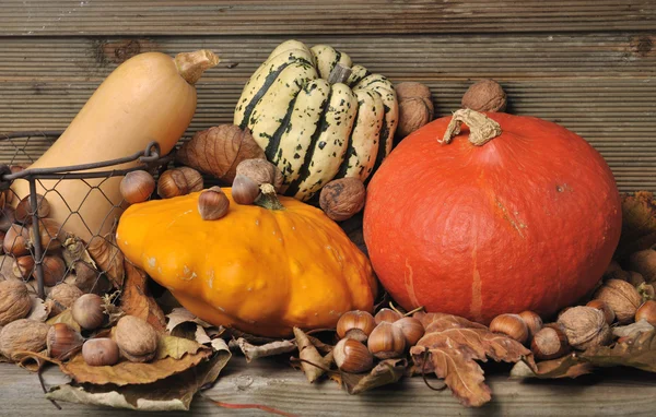 Autumnal vegetable and fruits — Stock Photo, Image