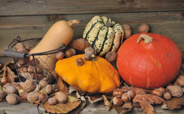 Autumnal pumpkins and dried fruits — Stock Photo, Image