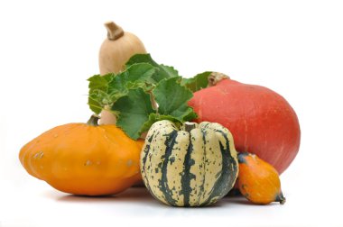 çeşitli squashes