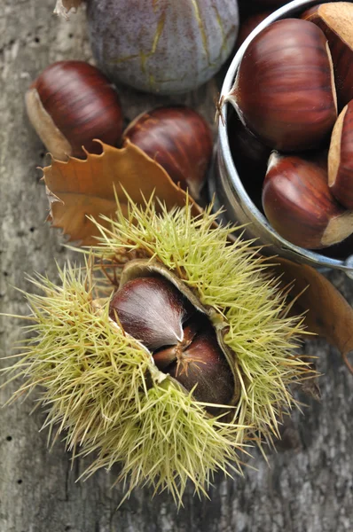 Castanhas — Fotografia de Stock