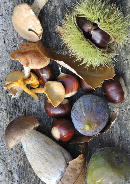 Autumnal harvest — Stock Photo, Image