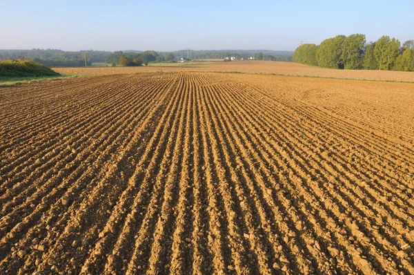 Furrows in het land — Stockfoto