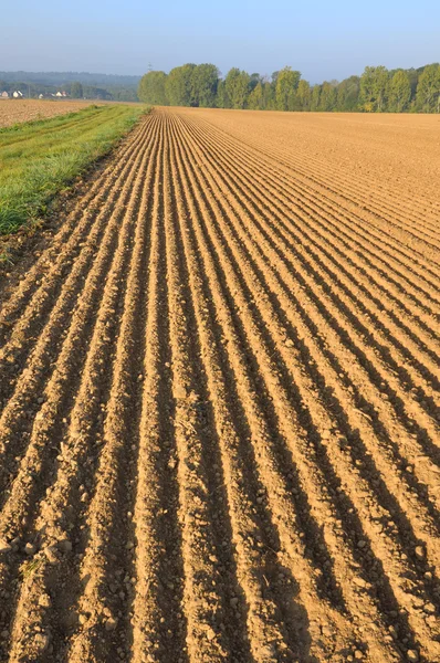 Furrows in land — Stock Photo, Image