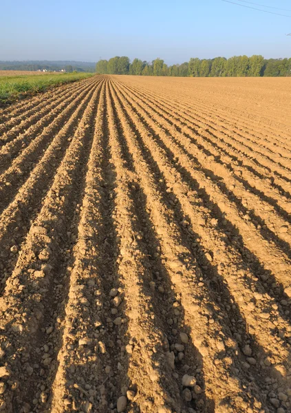 Furrow in land — Stock Photo, Image