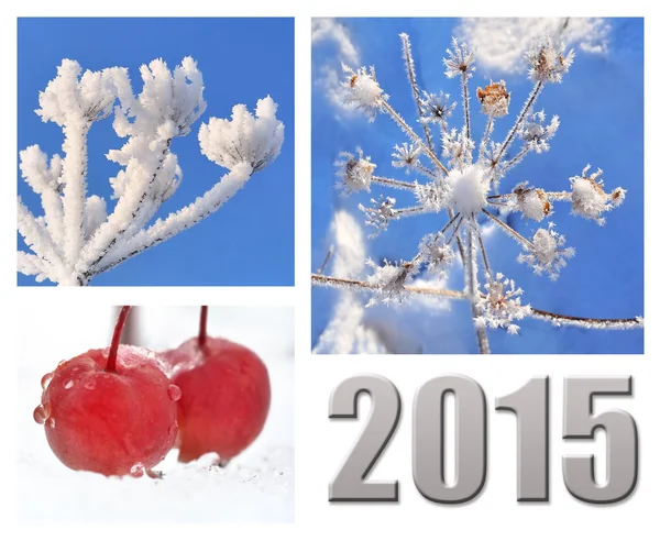 New year 2015- nature in winter — Stock Photo, Image