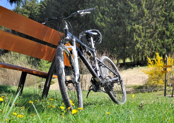 Bicicleta —  Fotos de Stock