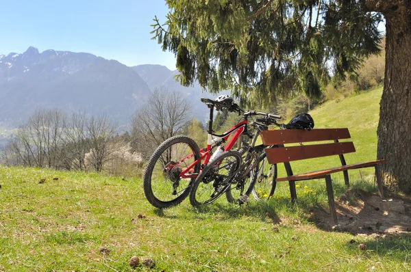 Dağ bisikleti — Stok fotoğraf
