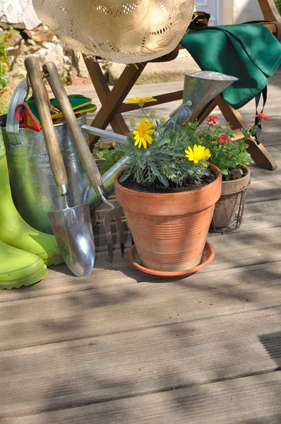 Gartenarbeit auf der Terrasse — Stockfoto