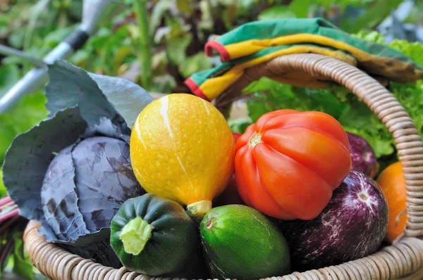 Farbenfrohes Gemüse — Stockfoto