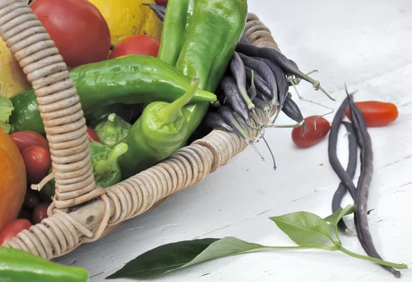 Légumes frais et colorés — Photo