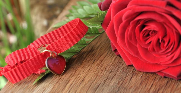 Кулон сердца с красными розами — стоковое фото