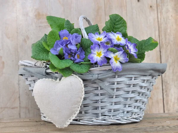 Romantic flowers basket — Stock Photo, Image