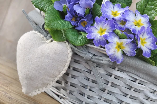 Romantic flowers basket — Stock Photo, Image