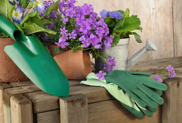 Gardening accessories — Stock Photo, Image