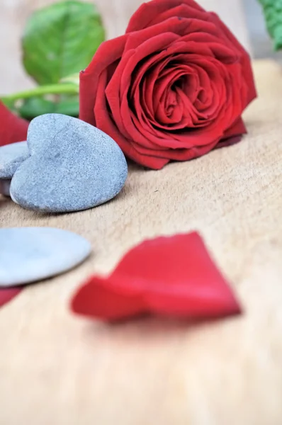 Corazón y rosa roja — Foto de Stock