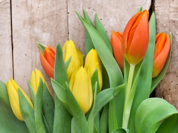 Tulipanes sobre fondo de madera —  Fotos de Stock