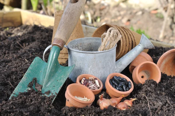 Plantaardige zaden te zaaien — Stockfoto