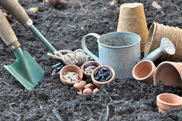 Seeds to sow — Stock Photo, Image