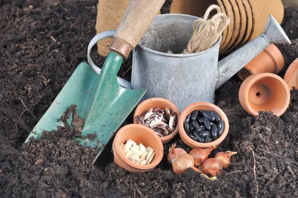 Graines de légumes pour l'ensemencement Images De Stock Libres De Droits