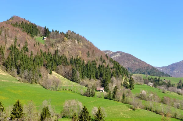 Paesaggio verde di montagna — Foto Stock