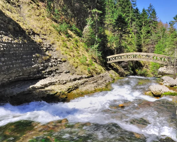 Bir dere geçerken brigde — Stok fotoğraf