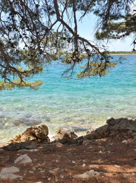 Turquoise sea — Stock Photo, Image