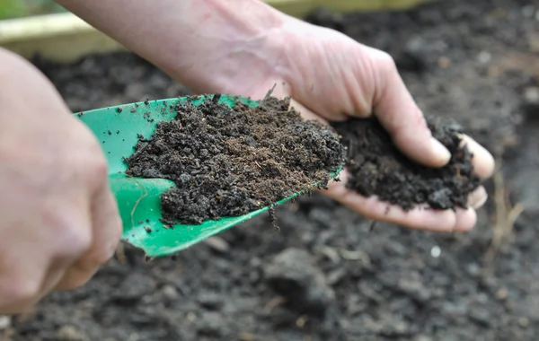 Compost para jardín — Foto de Stock