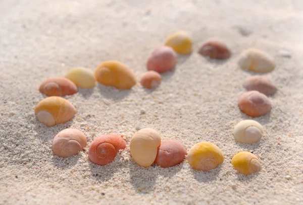 Corazón de conchas marinas —  Fotos de Stock