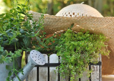 Yaz aylarında Bahçe