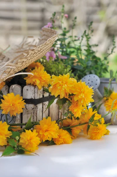 Composición floral de verano —  Fotos de Stock