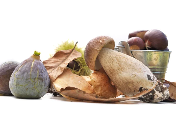 Frutta autunnale e porcini — Foto Stock