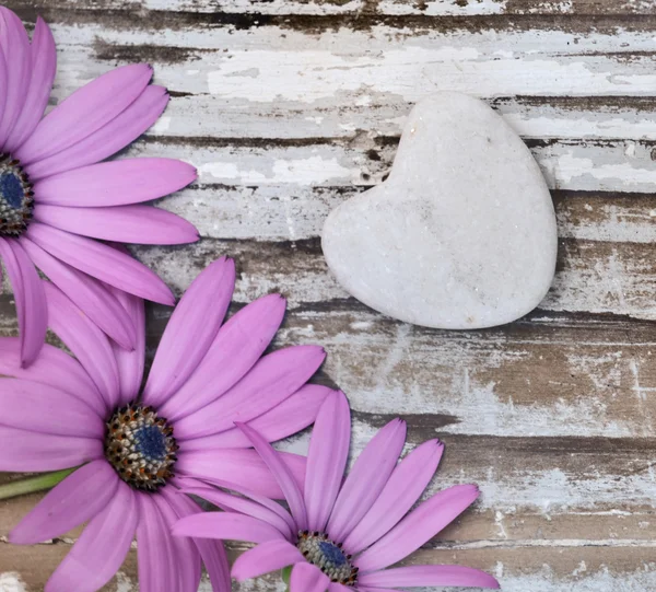 Blommor och hjärta — Stockfoto