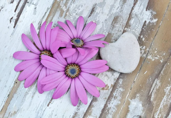 Blommor och hjärta — Stockfoto