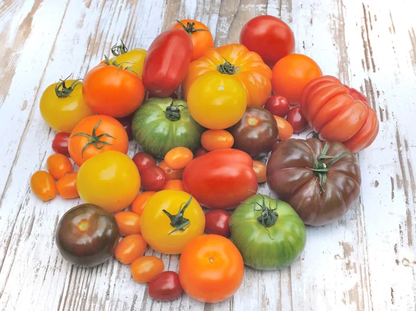 Sortiment rajčat — Stock fotografie