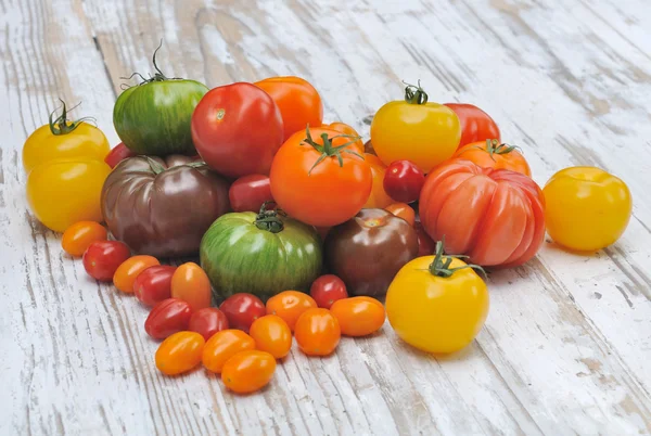 Assortiment de tomates Photos De Stock Libres De Droits