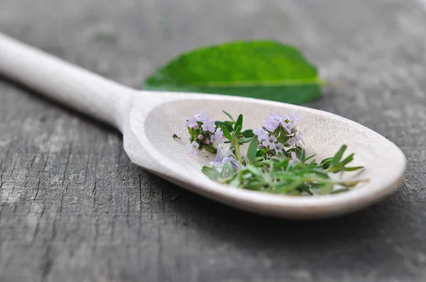 Thyme in wooden spoon — Stock Photo, Image