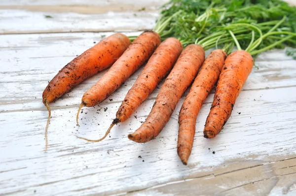 Carrots from garden — Stock Photo, Image