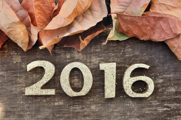 2016 and dead leaves — Stock Photo, Image