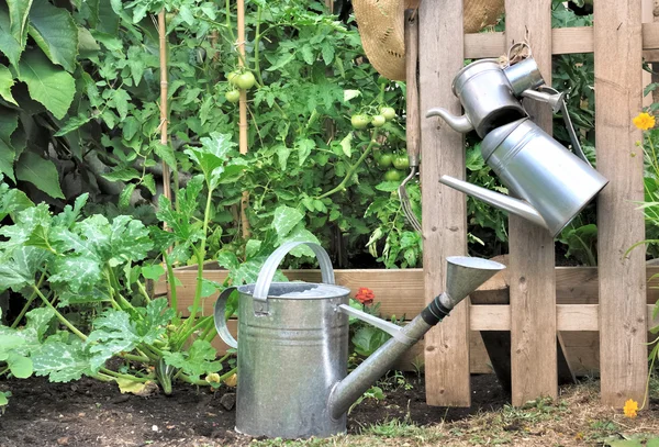 Metal watering cans — Stock Photo, Image