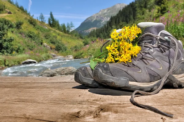 Wandelen schoenen — Stockfoto