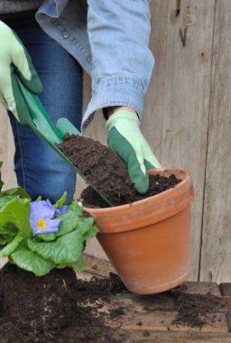 toprak Çömlekçilik için
