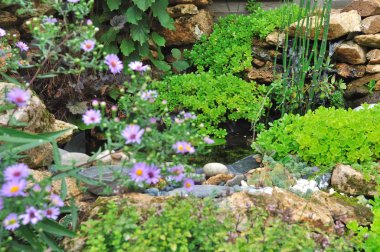 küçük su birikintisi bahçe içinde