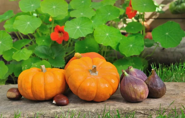 Small pumpkins and seasonal fruits — Stock Photo, Image
